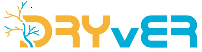 dryverlogo