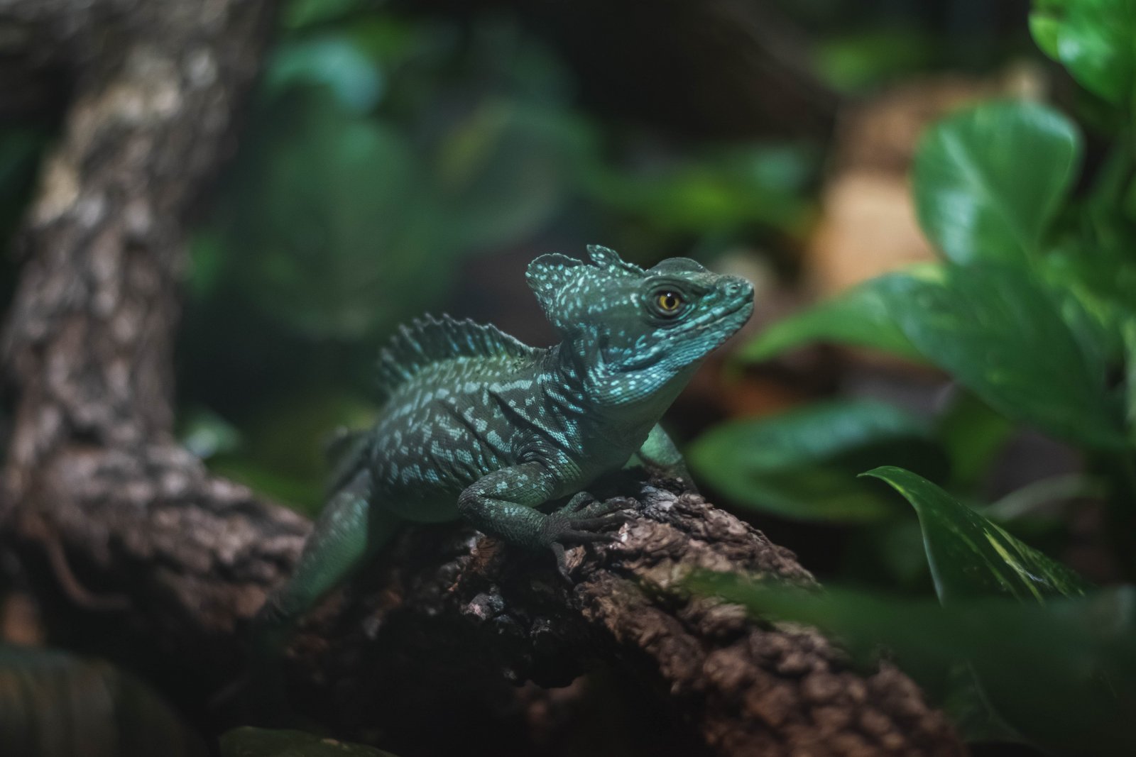 Zoo terrárium 2 2025